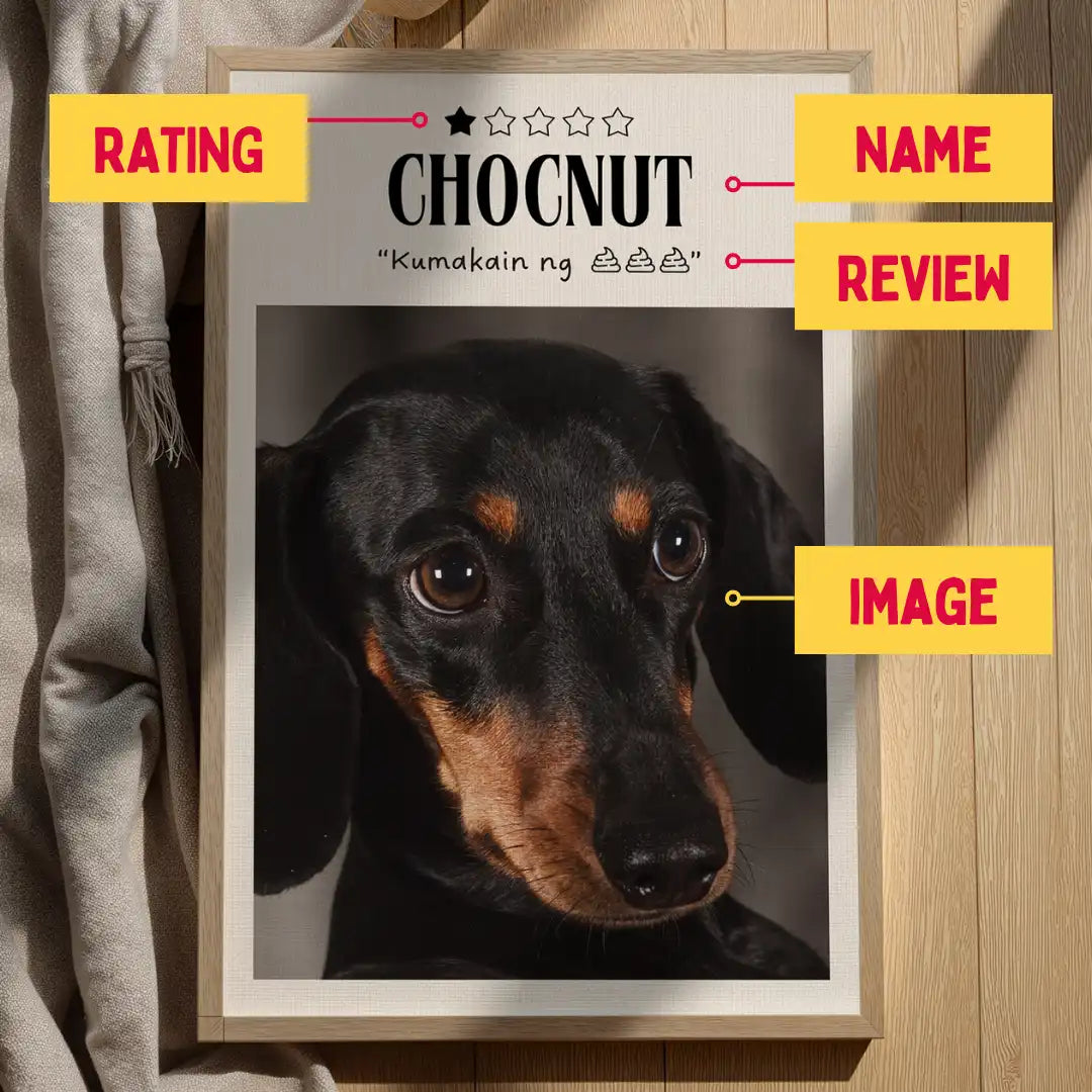 Rate Your Pet