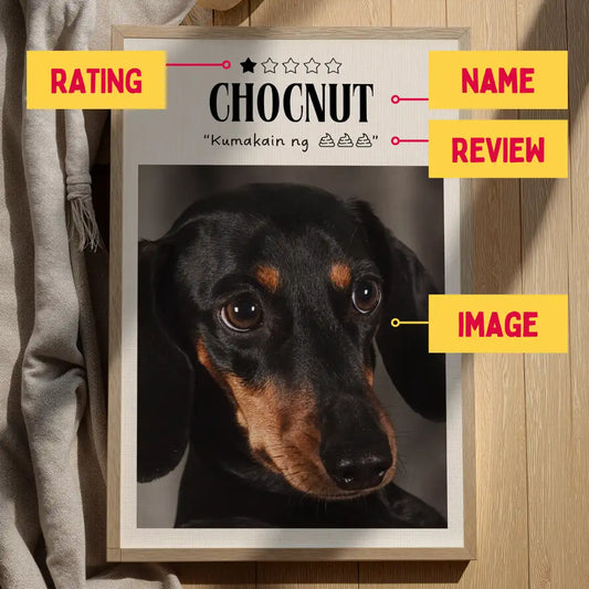 Rate Your Pet
